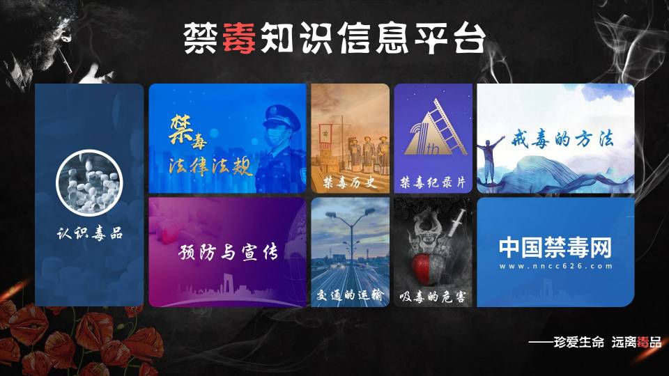 数字化一体机禁毒平台-触摸屏虚实展示毒品软件