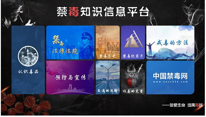 禁毒查询软件 多媒体禁毒软件 禁毒展馆软件