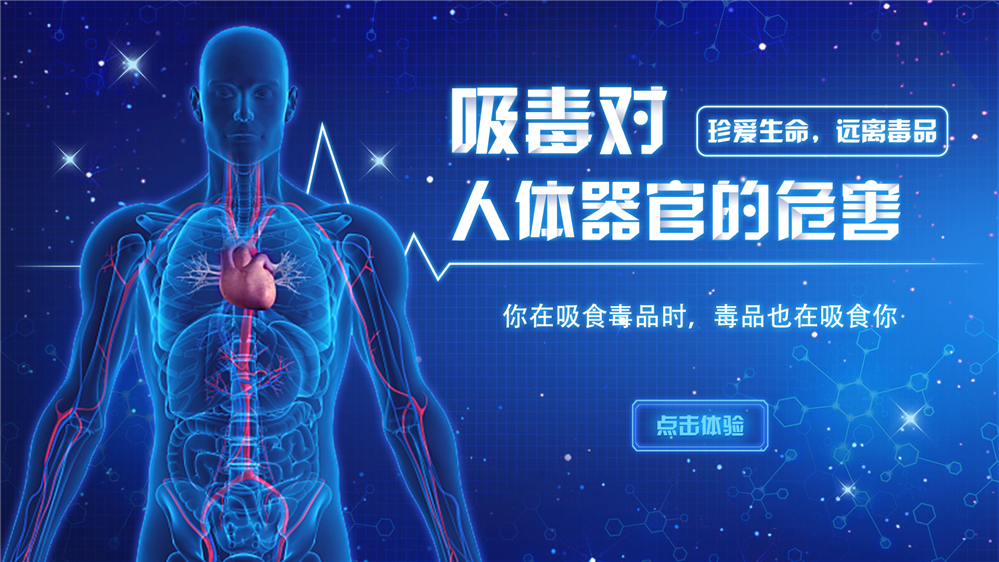 吸毒对人体的危害 吸毒危害认知系统 禁毒展厅多媒体展示设备